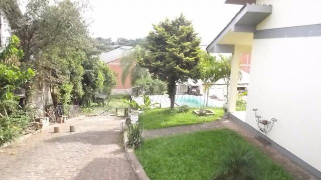 Terreno grande à venda, rondônia, novo hamburgo. - Foto 7