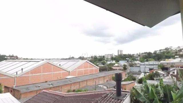 Terreno grande à venda, rondônia, novo hamburgo. - Foto 3