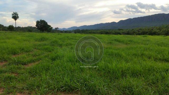 Fazenda 457 ha em rosário oeste mt - Foto 13
