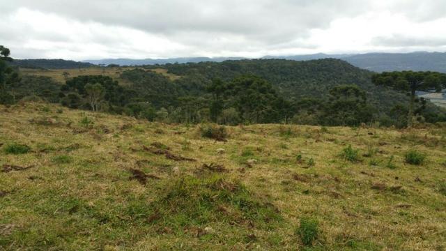 Sitio em Urubici/chácara rural em Urubici/área rural - Foto 6