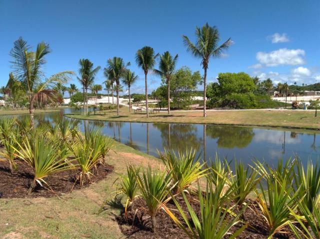Terreno à venda, 450 m² por R$ 300.000 - Sauipe - Foto 18