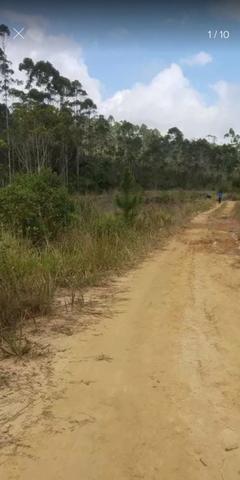 Terreno para chácara baixei pra vender - Foto 3