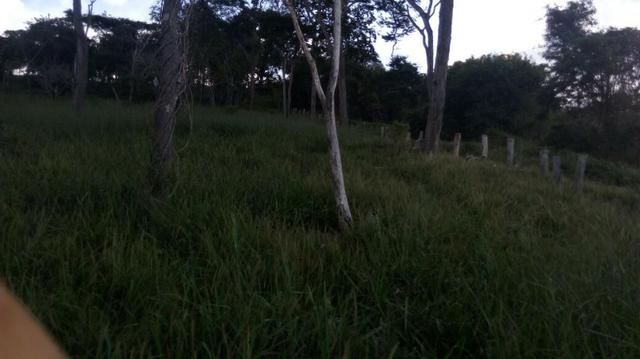 Fazenda em Baixo Guandu ES -Barato (entr +parc. anuais) - Foto 5