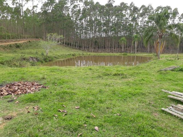 Linda área com 10 hectares a venda em Tijucas SC!!! - Foto 8