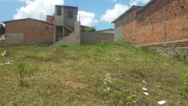 Um terreno em muritiba bahia tem 12 de lag por 22 de conpri - Foto 4