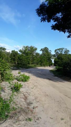 Fazenda com 150 hectares - Região da Soja (Balsas-MA) - Foto 10