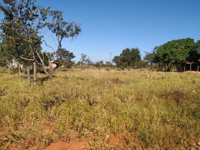 Vendo Lote Caldas Novas Parque das Laranjeiras - Foto 4