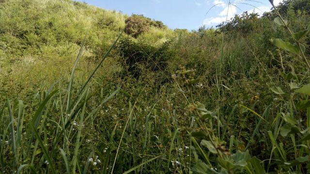 Fazenda em Baixo Guandu ES -Barato (entr +parc. anuais) - Foto 9