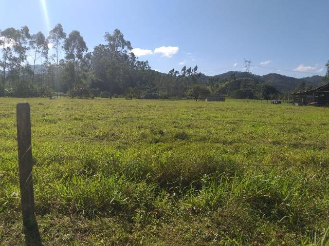 Sítio a venda em Canelinha SC!!! - Foto 3