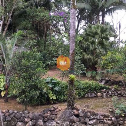 Casa à venda com 4 dormitórios em América, Joinville cod:RDA295 - Foto 9