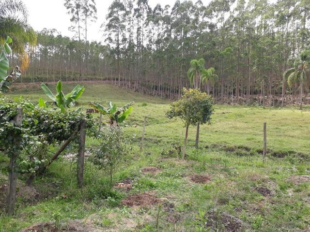 Linda área com 10 hectares a venda em Tijucas SC!!! - Foto 7