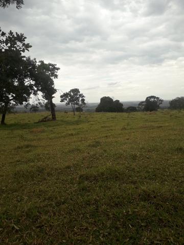 Chácara 30 min de Goiânia - Foto 2