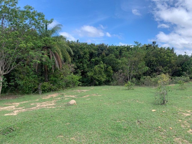 Chácaras de 20.000m² com nascente, Jaboticatubas(Temos varias opções). - Foto 3