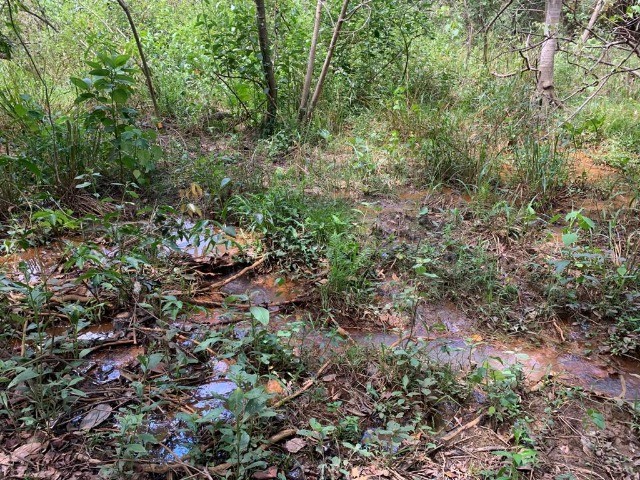 Chácaras de 20.000m² com nascente, Jaboticatubas(Temos varias opções). - Foto 4