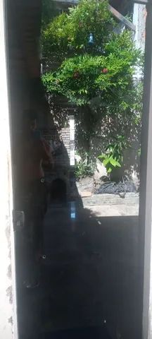 Porta blindex vidro fumê 80x210