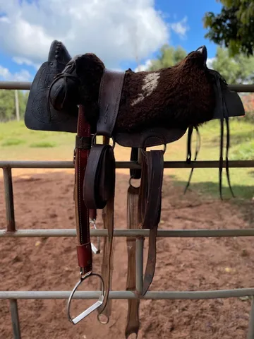 Traia de cavalo  +63 anúncios na OLX Brasil