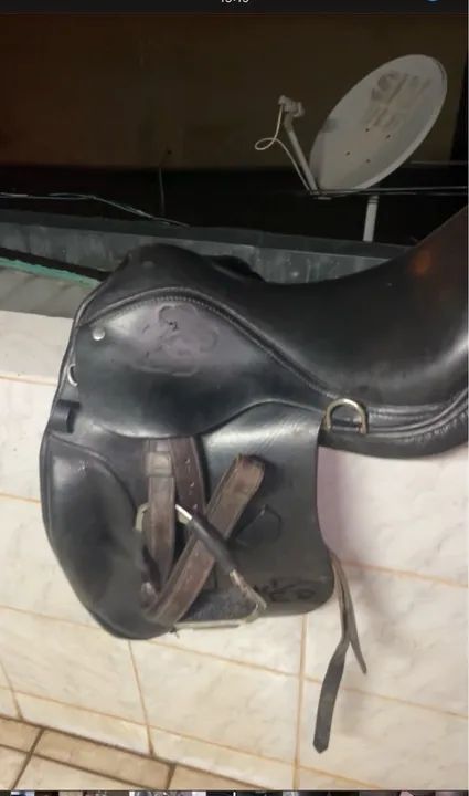 Sela de adestramento Hipismo 