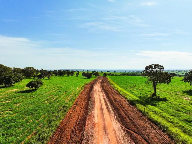 Fazenda de 7.500 hectares a 120 km de Primavera do Leste-MT