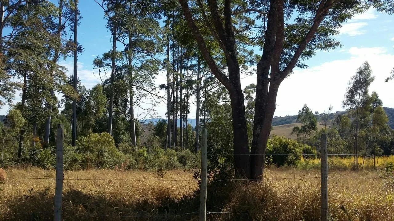 Condominio no Elvas  - Foto 2