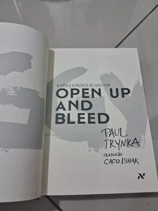 LIVRO A VIDA E A MÚSICA DE IGGY POP - Foto 4