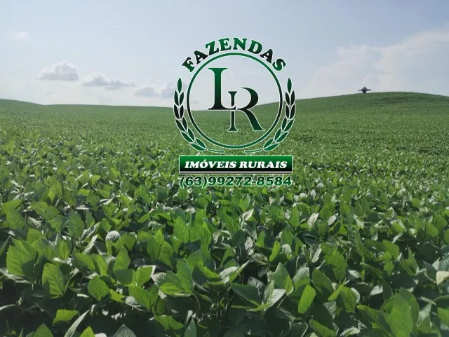 Fazenda de 378 Alqueires, Agricultura/Pecuária