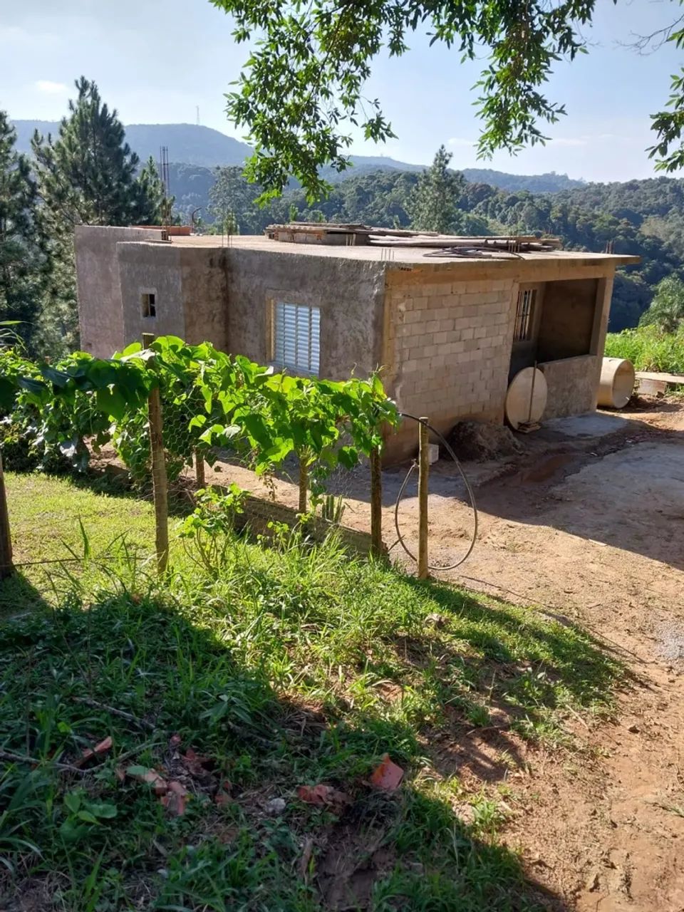 Foto - São Paulo - Parque Esmeralda