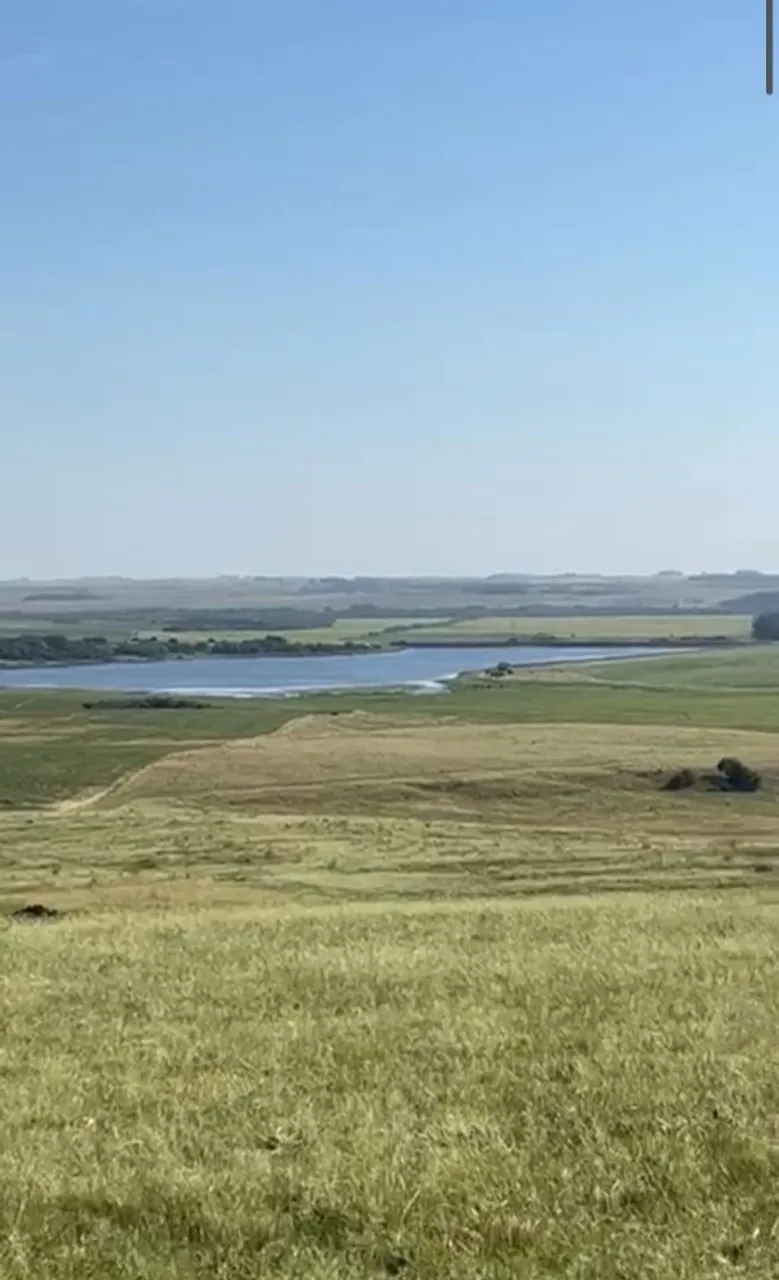 Oportunidade Campo ALEGRETE 120 hectares