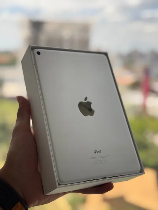 iPad Mini 5th / 256GB Seminovo