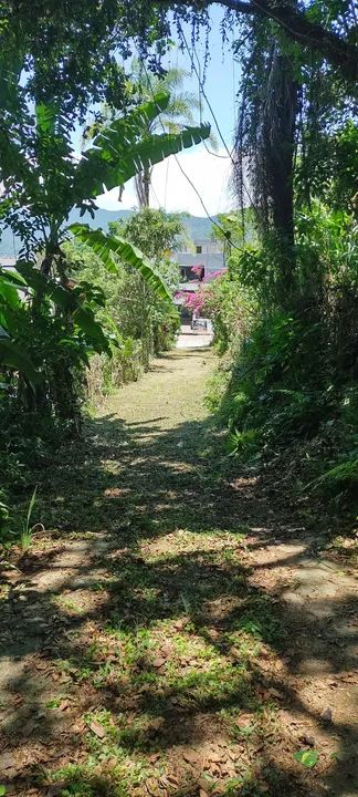 JARDINAGEM  - Foto 5