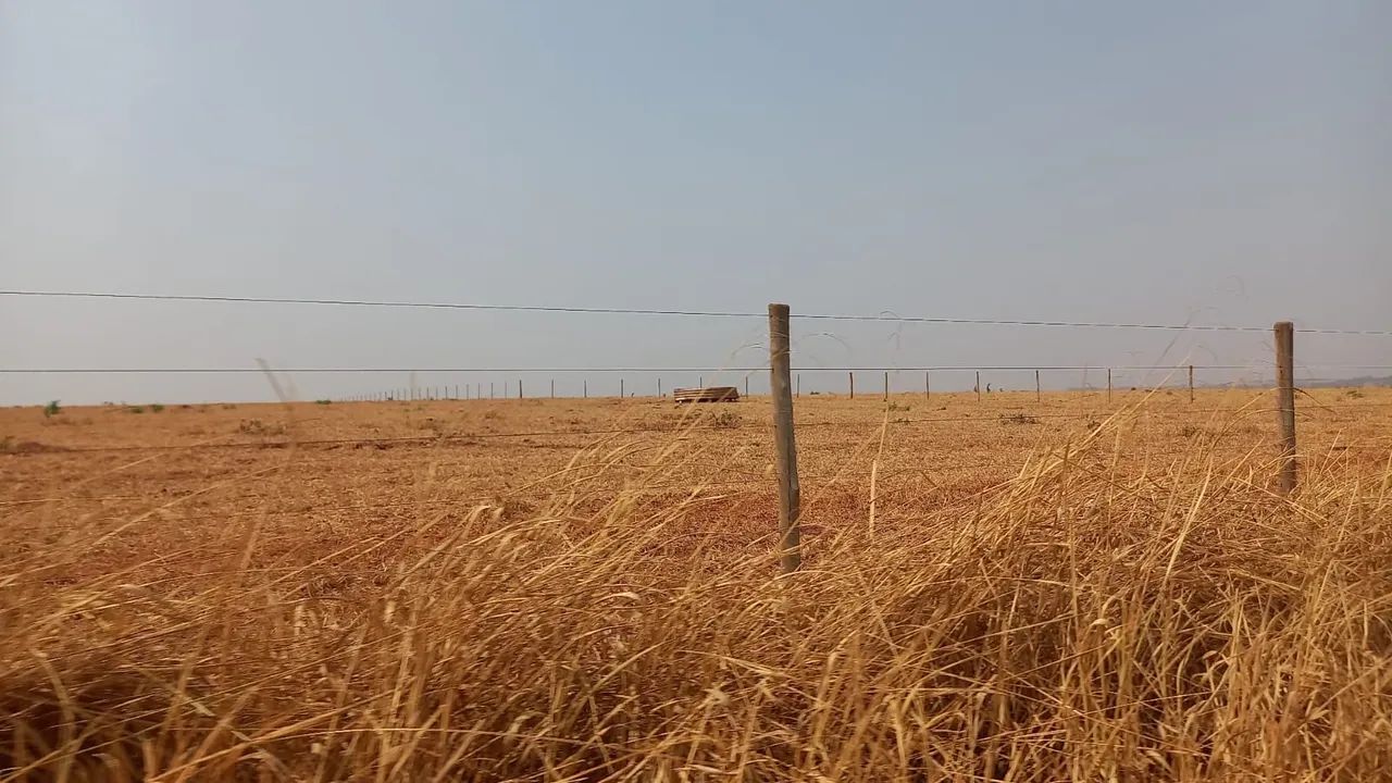 Fazenda próximo Uberlândia 1000 hectares  - Foto 4