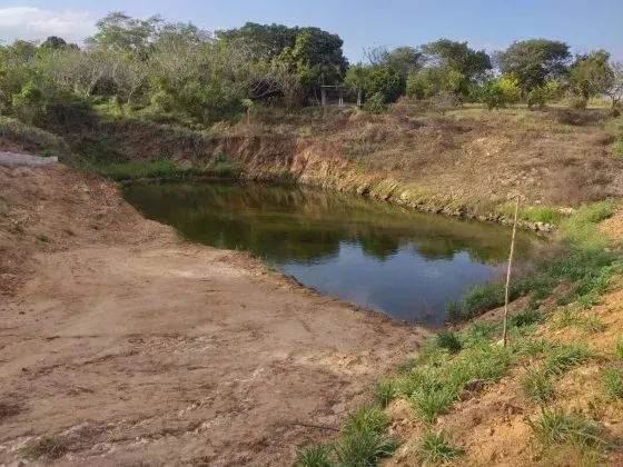 Fazenda com 38 hectares em monte alegre