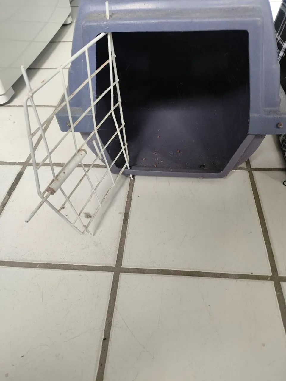 Caixa e bolsa de transporte Pet - pequena - aprox 45cm x 30cm x 30cm - Foto 3