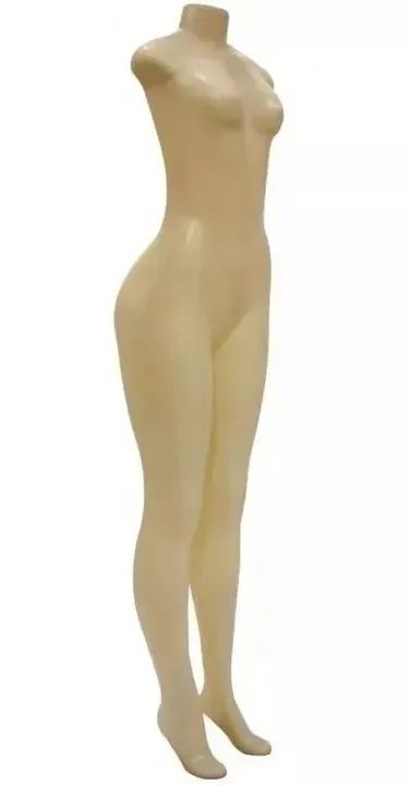 Manequim Plus Size e Magra para loja