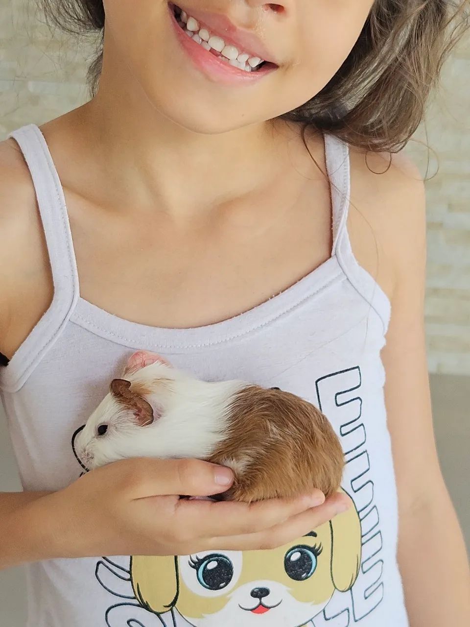 Porquinho da Índia - Foto 3