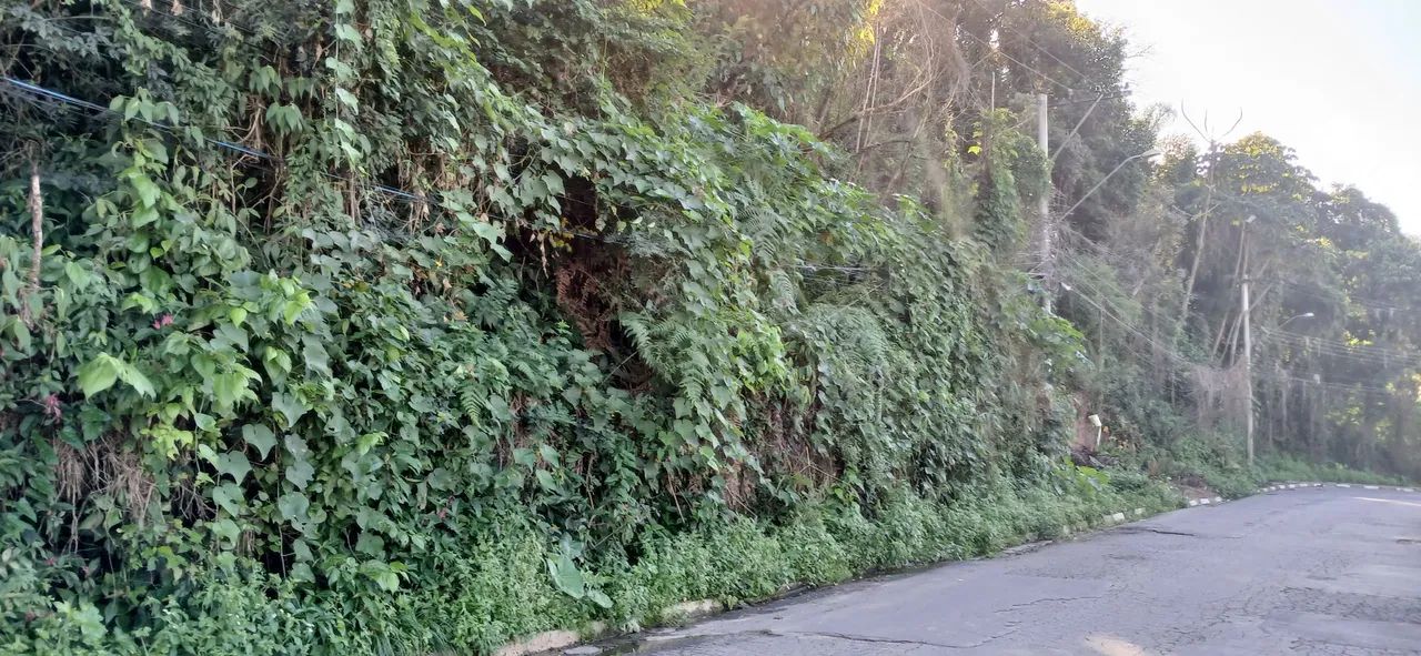 *OPORTUNIDADE* Vendo Terreno c Escritura - lote 10 - Francisco Morato próx a F. da Rocha - Foto 3