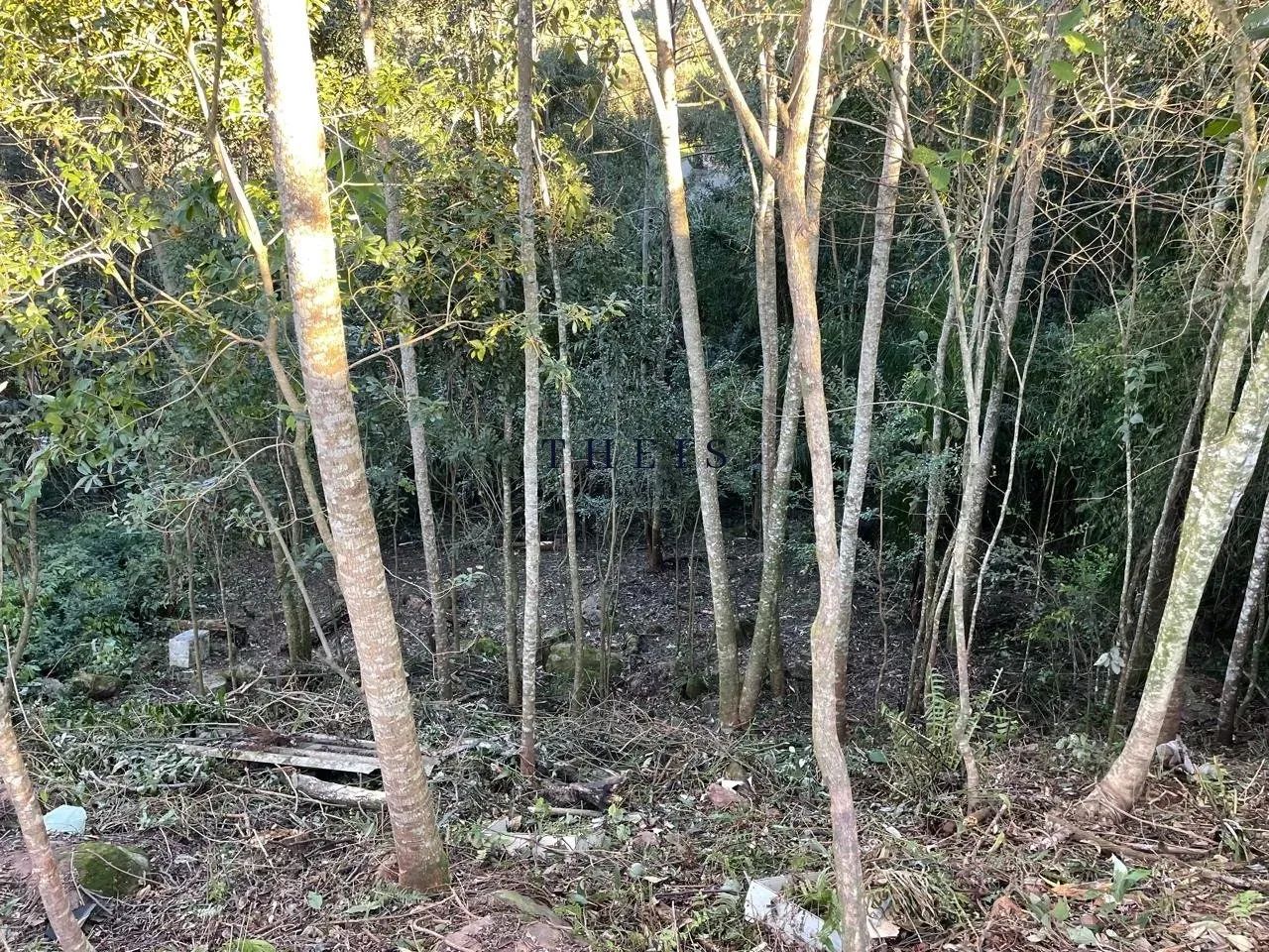 Terreno à venda no bairro São Luiz - Foto 3