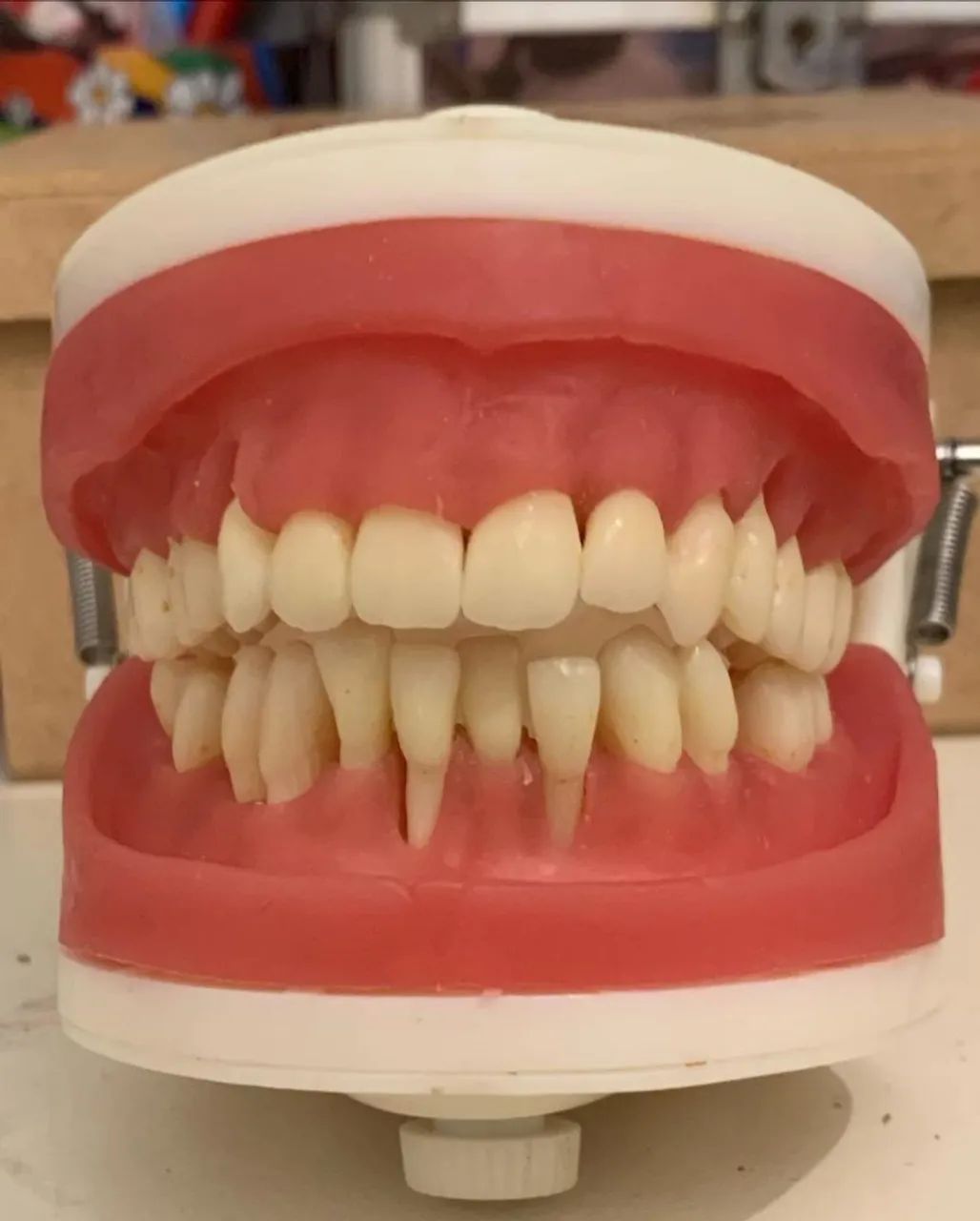 Manequim de Periodontia