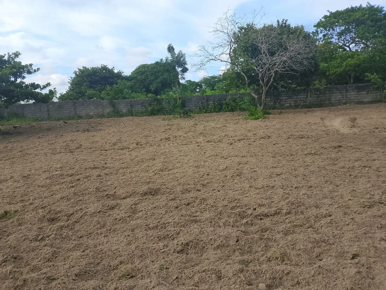 Terreno.