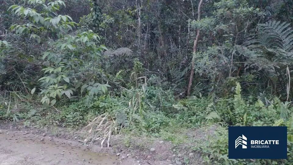 Terreno de chácara à venda no Chácaras Gaivota - Foto 2