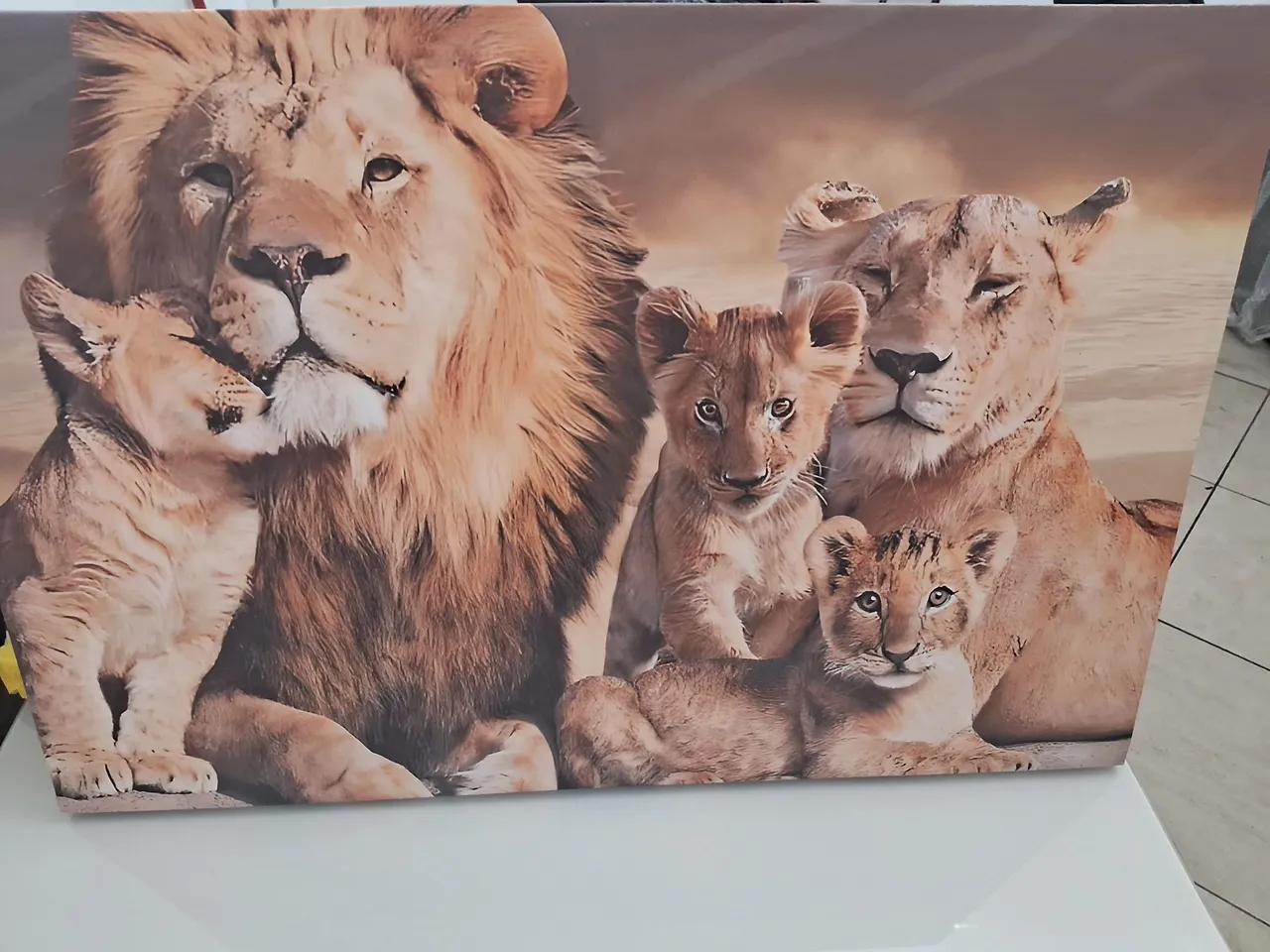 Quadro Leões