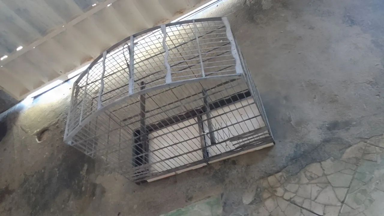 Gaiola para pássaros - Foto 4