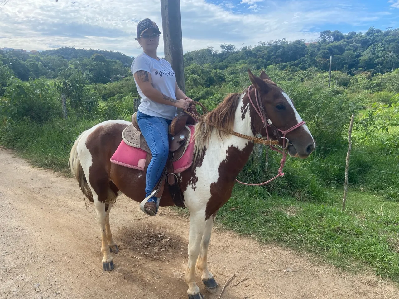 Cavalo pampa marcha picada