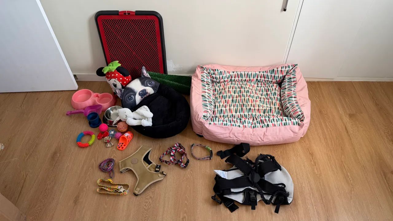 Kit pet cama bebedouros coleiras - Foto 3