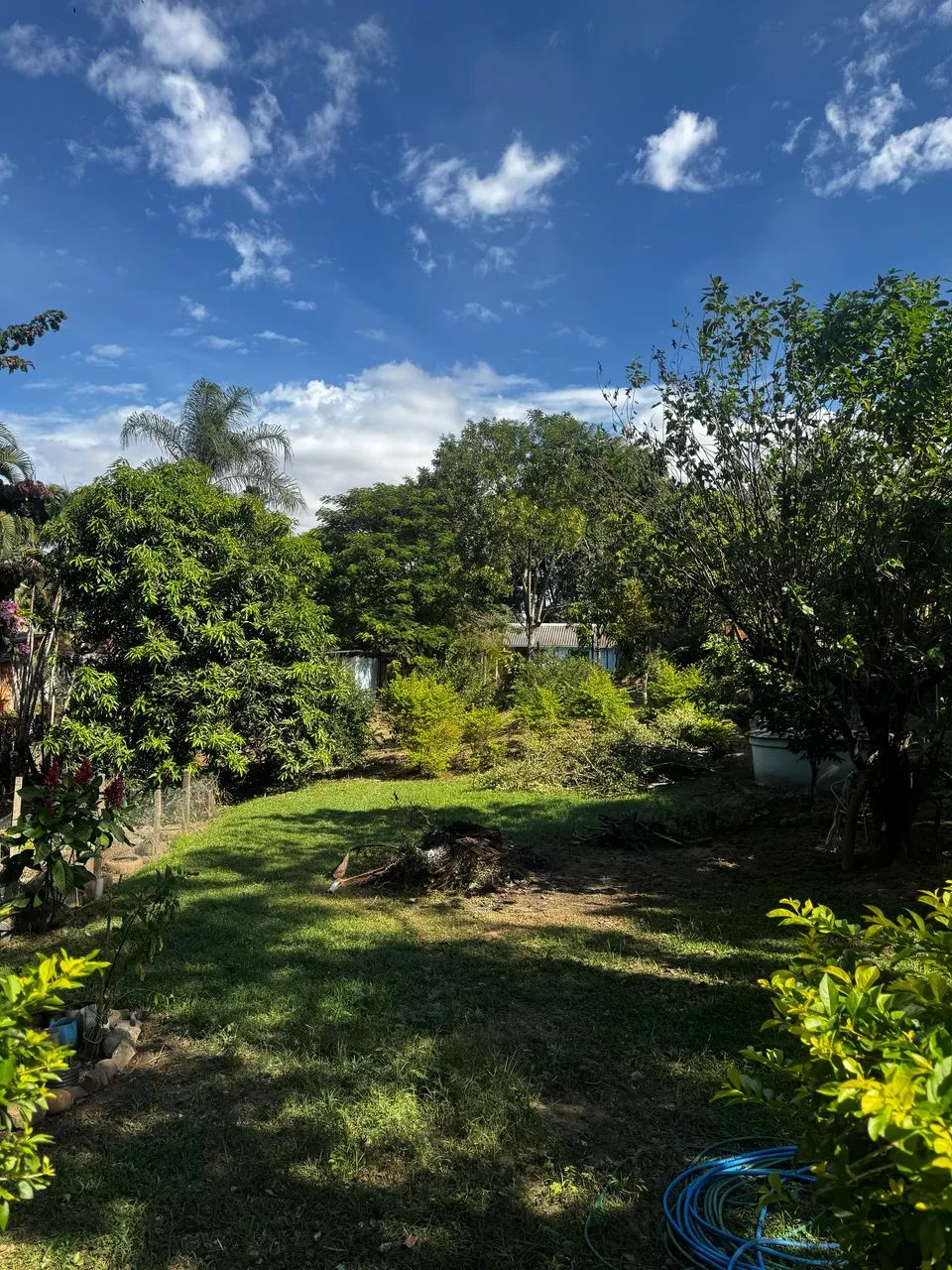 Vendo chácara em monte mor - Foto 3