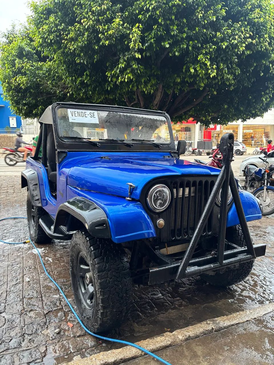 Ford Willys Rural 4X4 1967 - Foto 3
