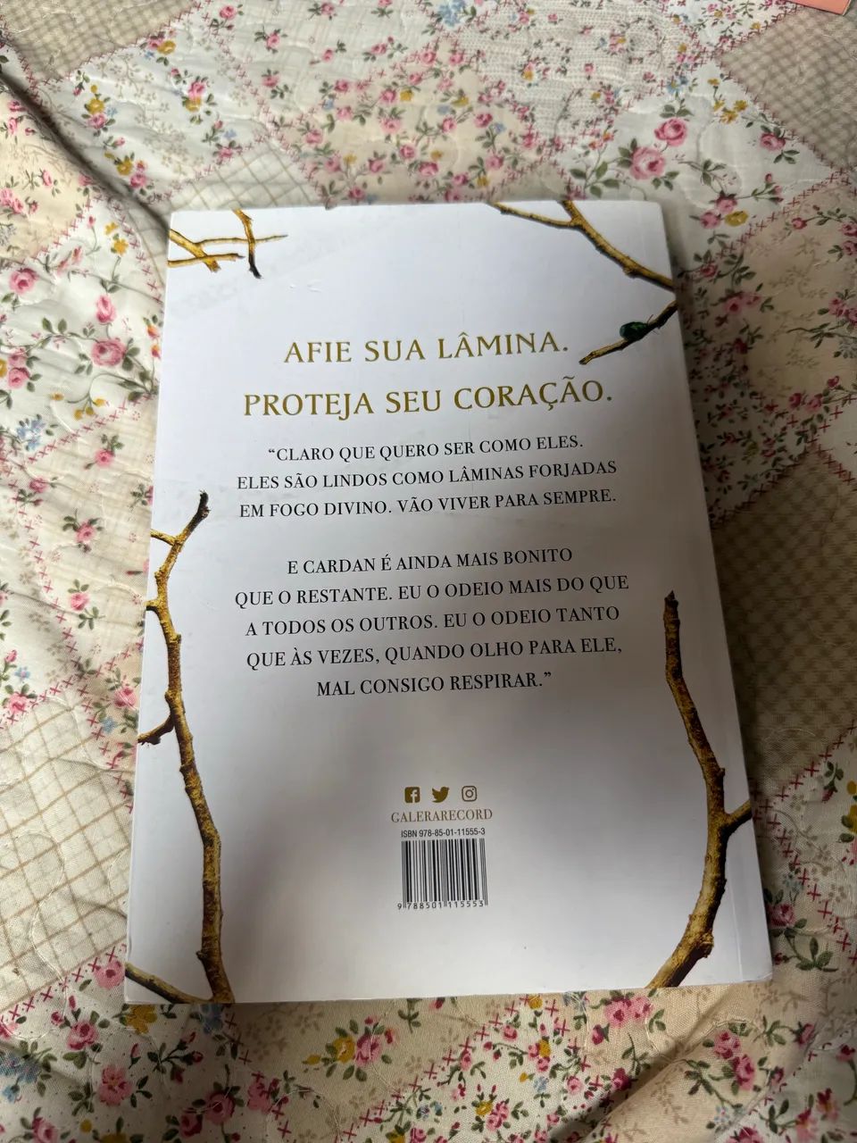 O príncipe cruel - Livro - Livros e revistas - Centro, São Bernardo do  Campo 1472530323 | OLX