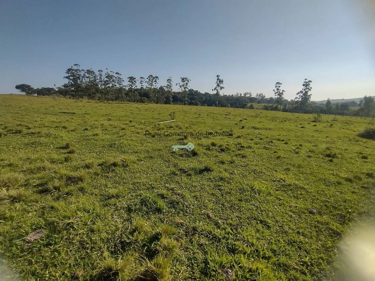 Vende-se sítio 5 alqueires em Carlopolis PR - Foto 3