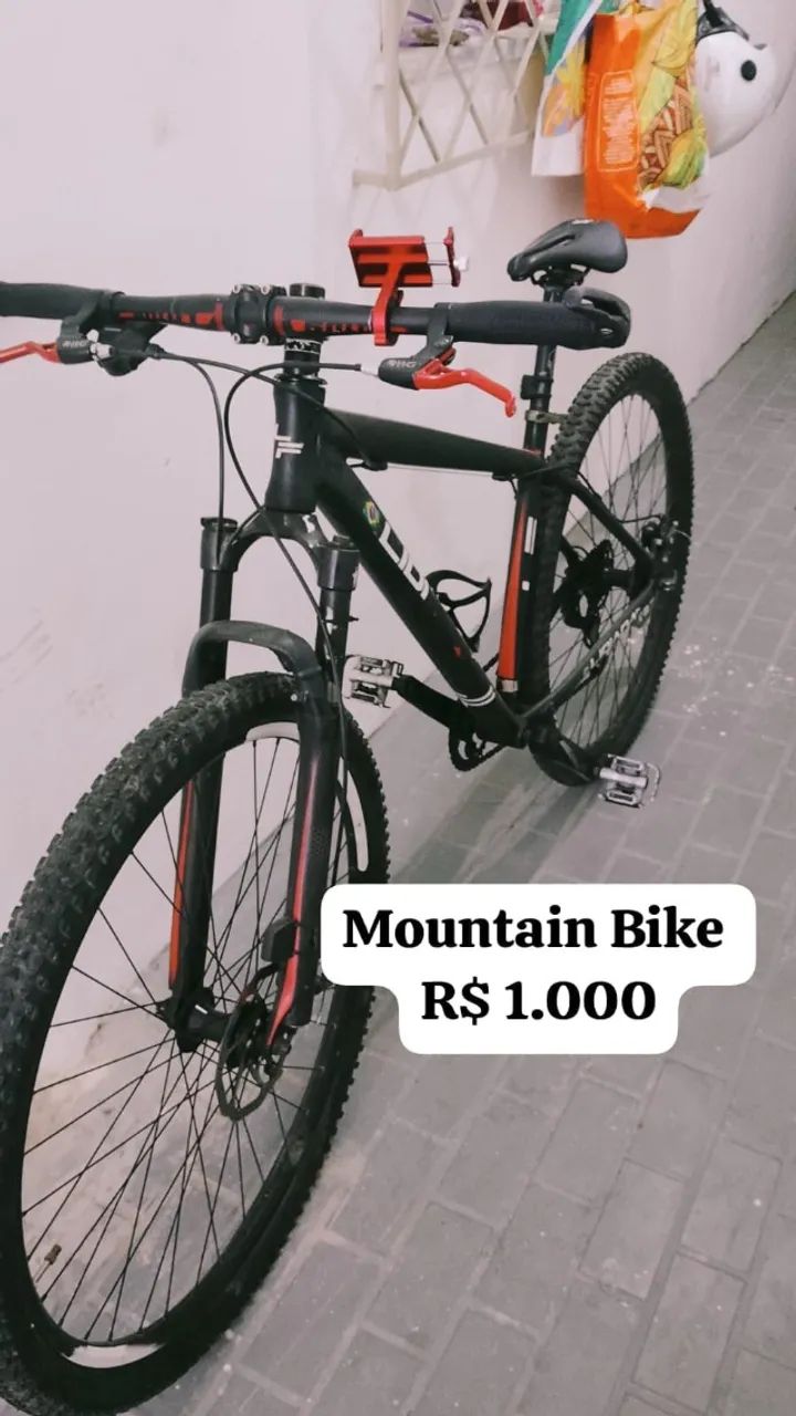 MOUNTAIN BIKE