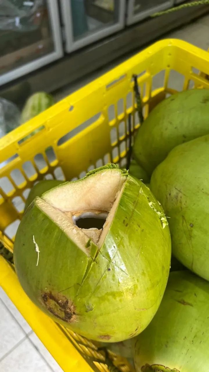 Disponibilidade de entrega Coco para venda de água de coco 