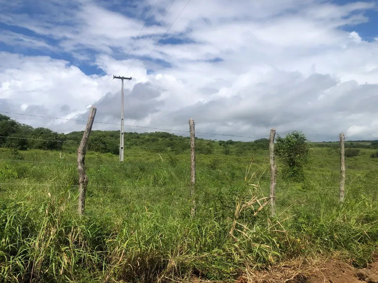 Fazenda para Arrendar - Foto 4